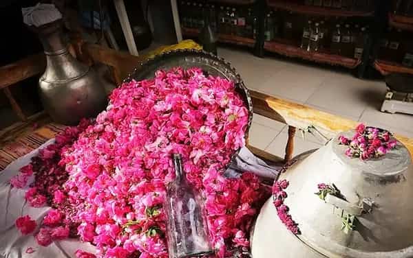 تصویر 5 از قیمت خرید گلاب پس آب ارگانیک + فروش ویژه